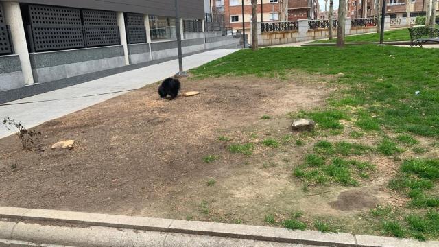 Zona cercana al Museo del Comercio