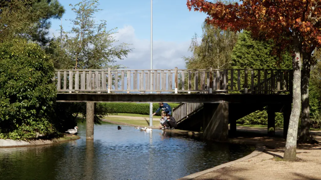 Puente de madera sobre la laguna