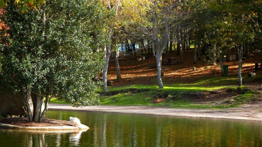 Parque forestal del Monte dos Pozos