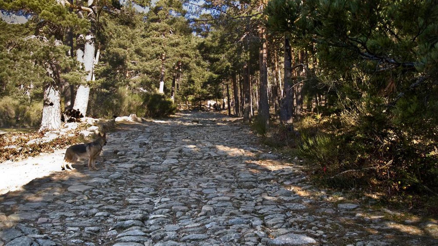 Calzada romana en el Puerto de la Fuenfría, en la sierra de Guadarrama.