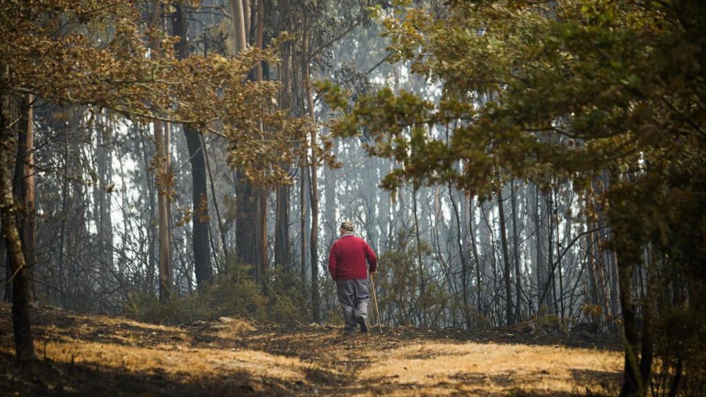 Incendio en Crecente (Pontevedra)