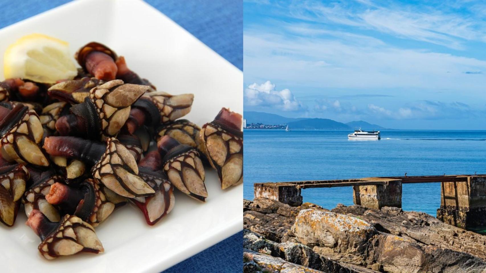 Percebes en un pueblo costero.