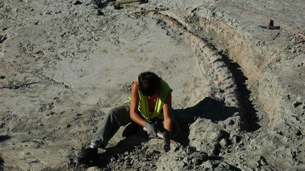 Paleontólogo trabajando en el descubrimiento de un nuevo dinosaurio.