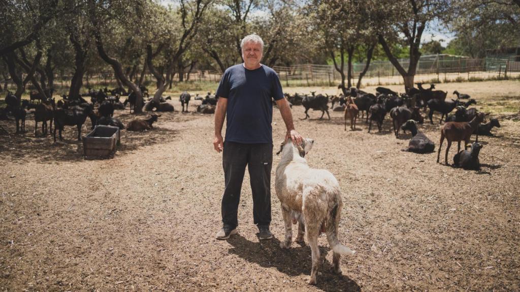 Rafa González con su rebaño en la finca Suerte Ampanera.