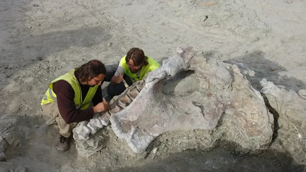 Paleontólogos trabajando en el yacimiento arqueológico de Fuentes, Cuenca.