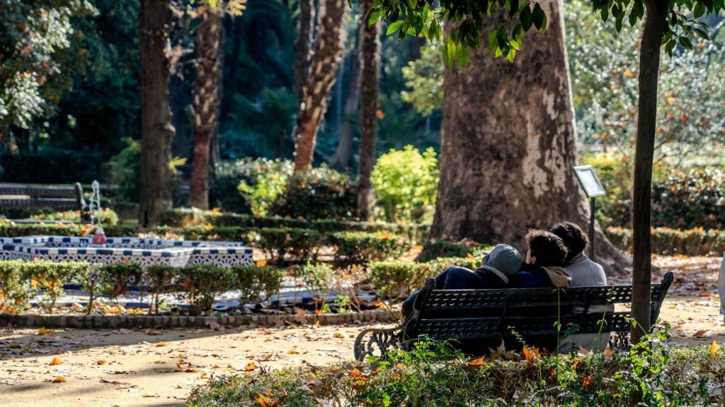 Vista del parque de María Luisa.