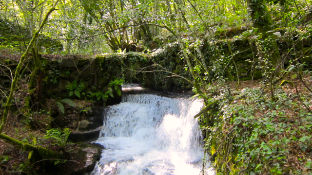 Antiguo puente de piedra del Camiño Real en el Regato de Chedeiros