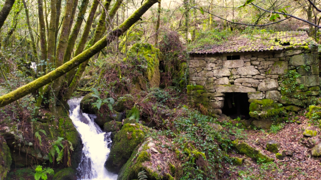 Cascadas y molinos en el regato de Chedeiro