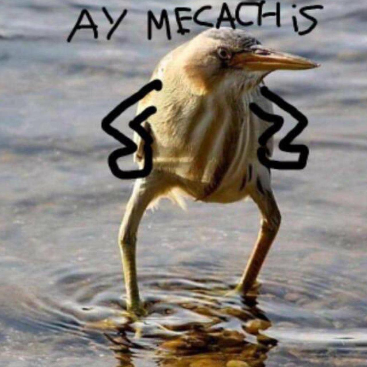 El meme del ay, mecachis.