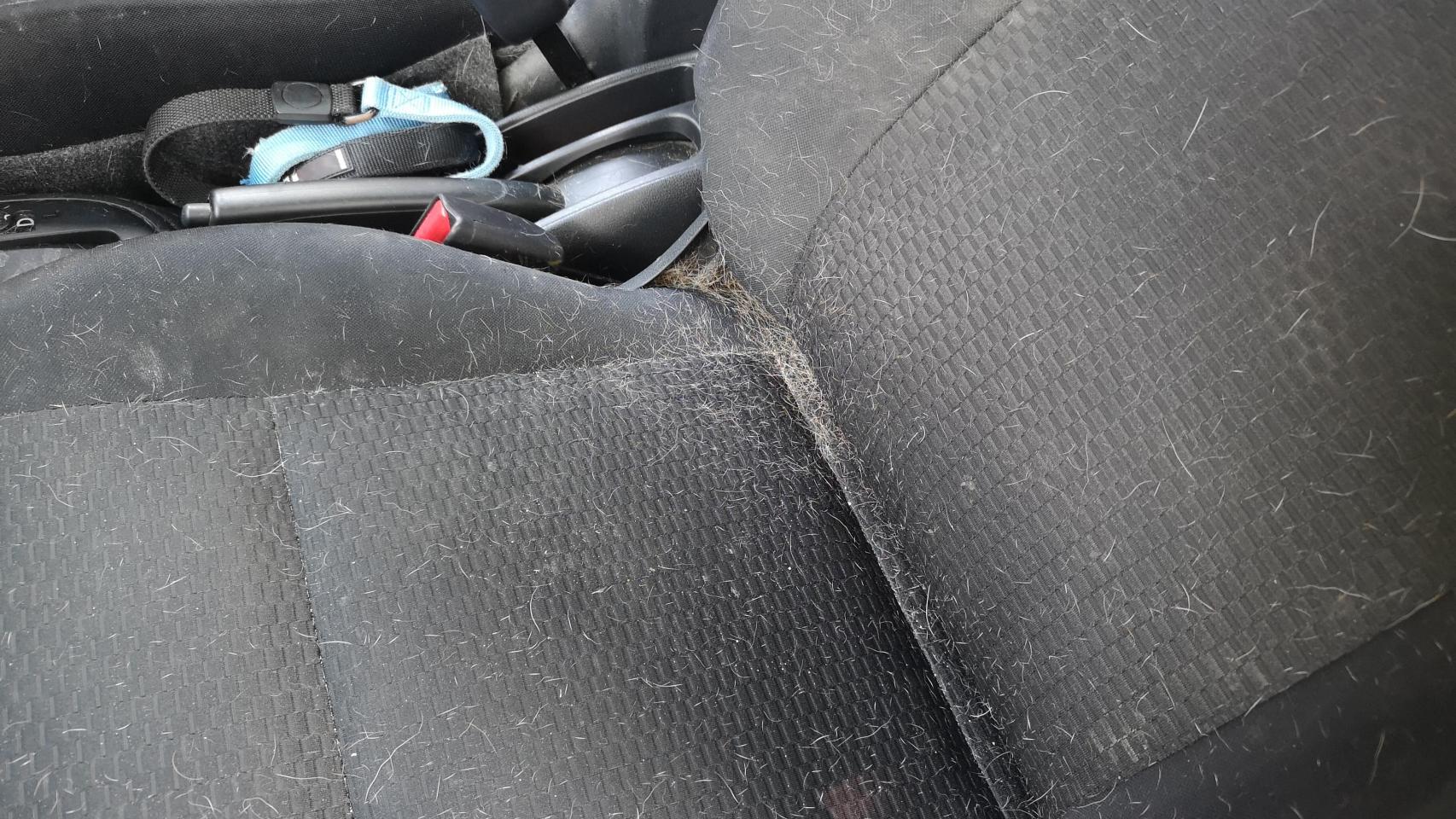 Pelos de perro en un asiento del coche