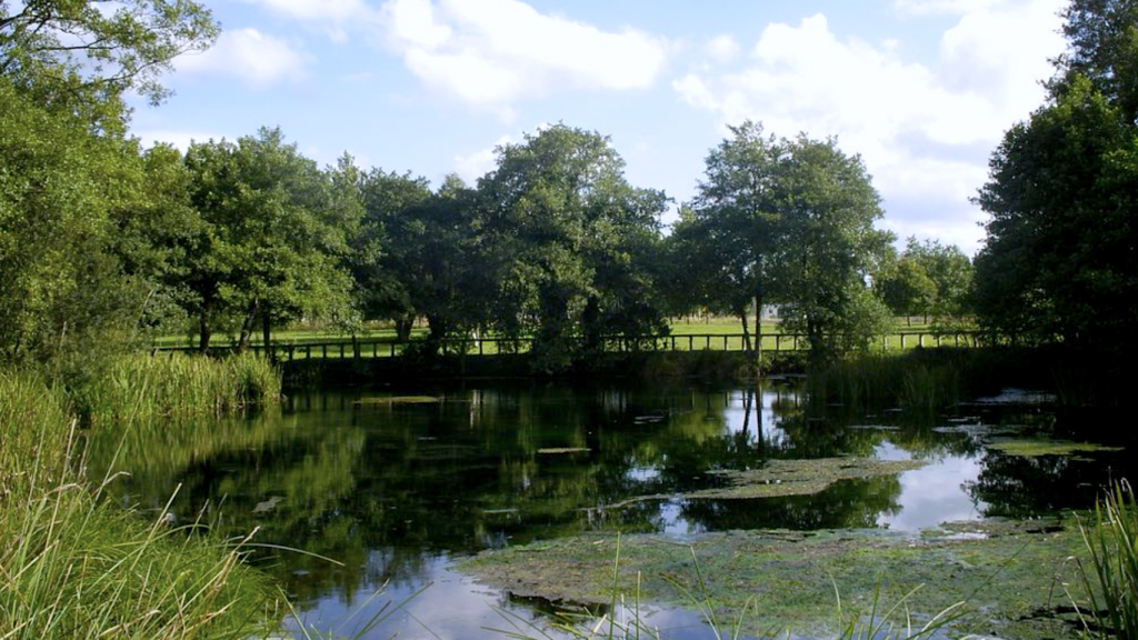 Lago de Fonmiñá