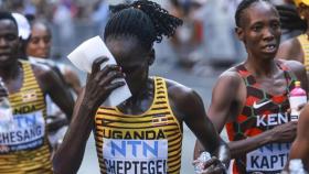 Rebecca Cheptegei, durante una carrera.