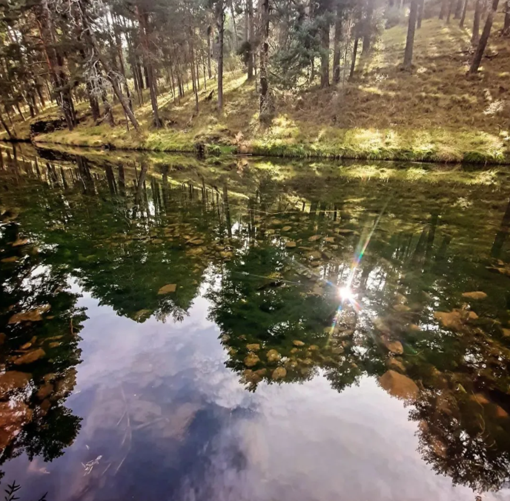 Imagen de Hoyos del Espino (Ávila)