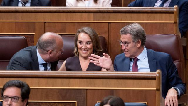 El portavoz parlamentario del PP, Miguel Tellado, la secretaria general del partido, Cuca Gamarra, y su líder, Alberto Núñez Feijóo, este miércoles en el Congreso.