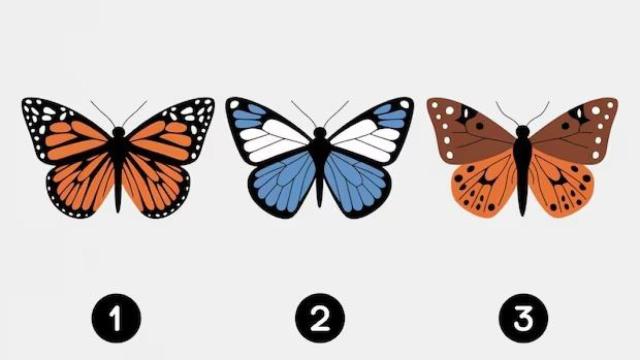 Elige una de estas mariposas