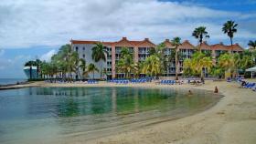 Aruba, destino de ensueño  para practica deportes acuáticos en aguas cálidas y bajo palmeras.