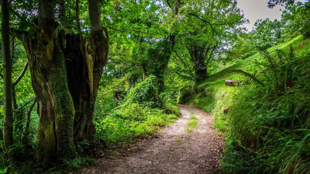 Devesa da Rogueira, una joya de la Sierra de O Courel, Lugo.