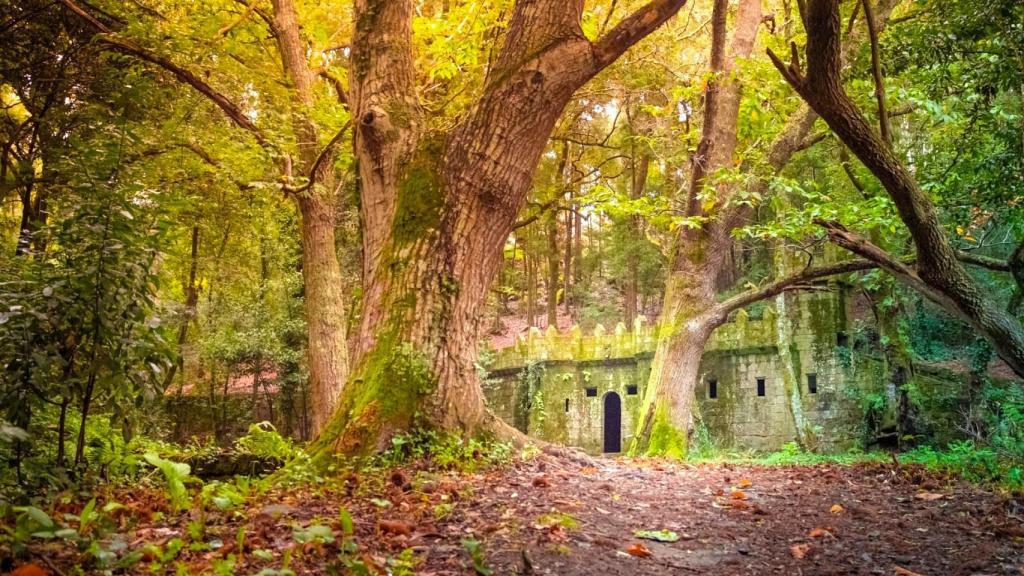 Bosque encantado de Aldán