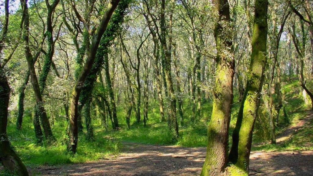 Fraga de Cecebre en Cambre