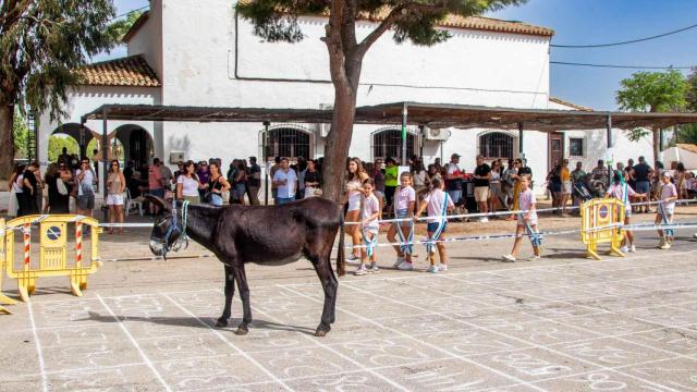 La 'Cagà de la Burra', Benidorm.