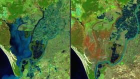 Imagen por satélite que muestra la diferencia en Doñana entre 2010 y 2020.