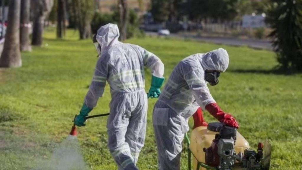 Operarios realizan labores de fumigación en Sevilla.