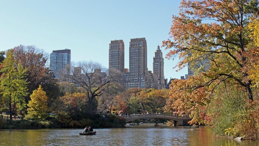 Central Park en Dallas.