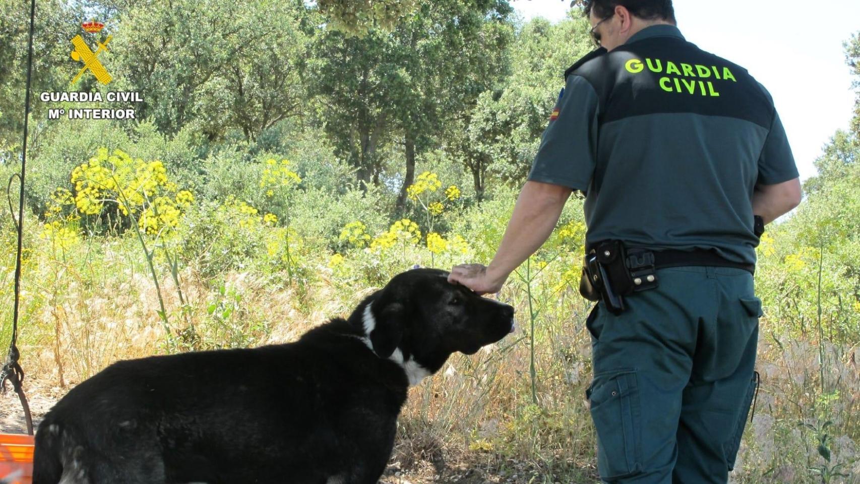 La Guardia Civil junto al perro