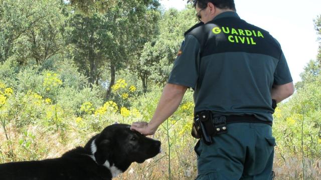 Un agente de la Guardia Civil junto al perro.