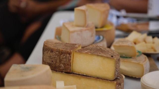 La feria del queso zamorana con más de 1.200 clases donde se elige el Mejor Fromelier de España