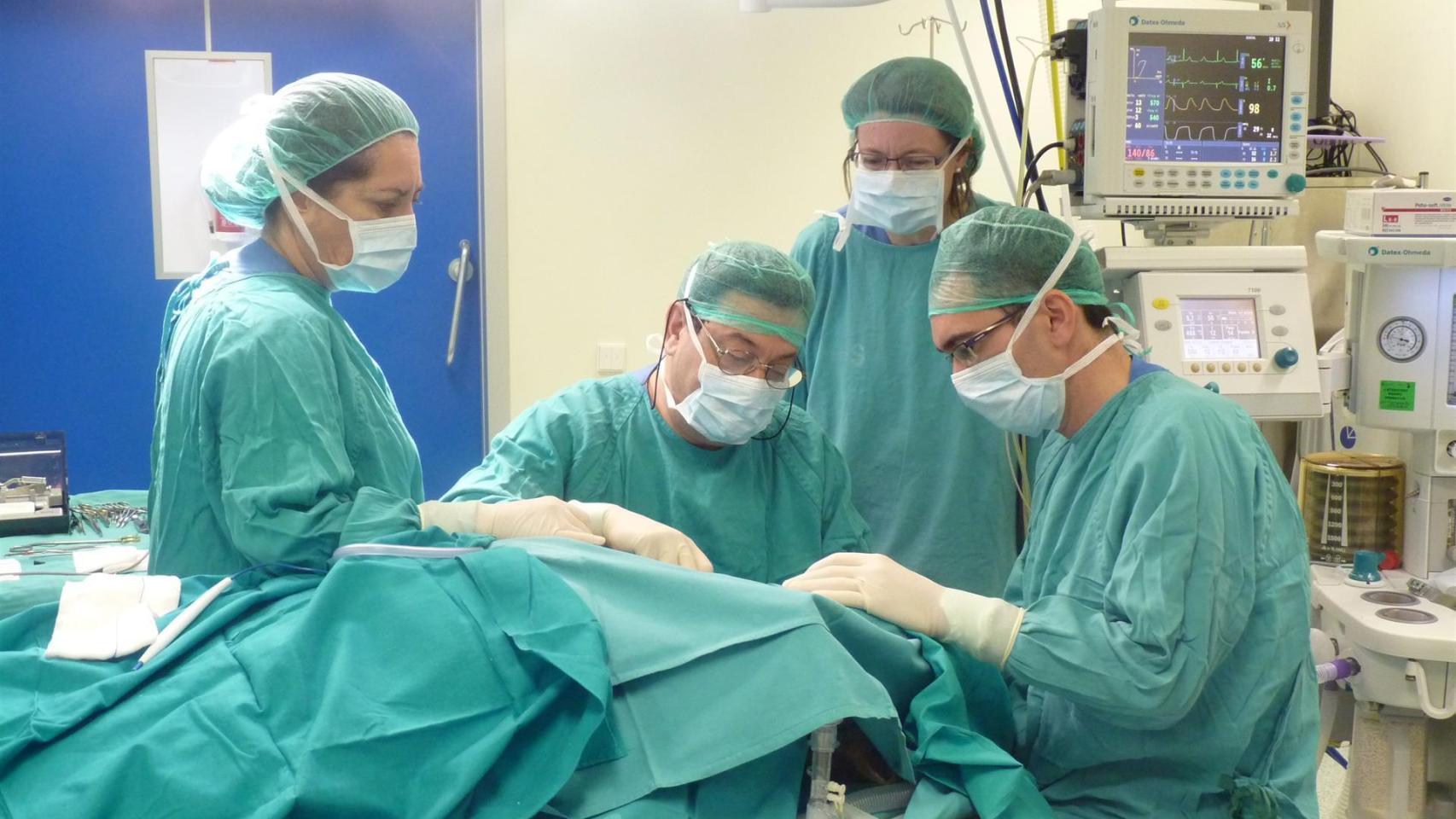 Profesionales sanitarios trabajan en un quirófano del Sescam. Imagen de archivo.