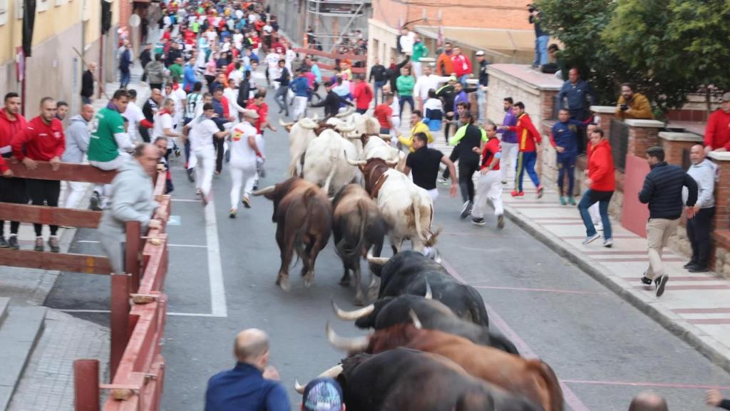 Muchos corredores en el encierro celebrado este sábado en Guadalajara. Fotos: Ayuntamiento.