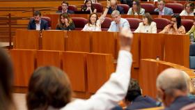 Una de las votaciones en la segunda sesión del pleno de las Cortes de Castilla y León