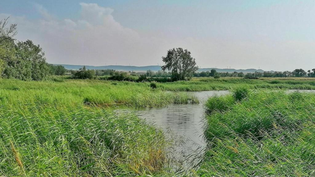 El paraje del humedal en Garrapinillos.