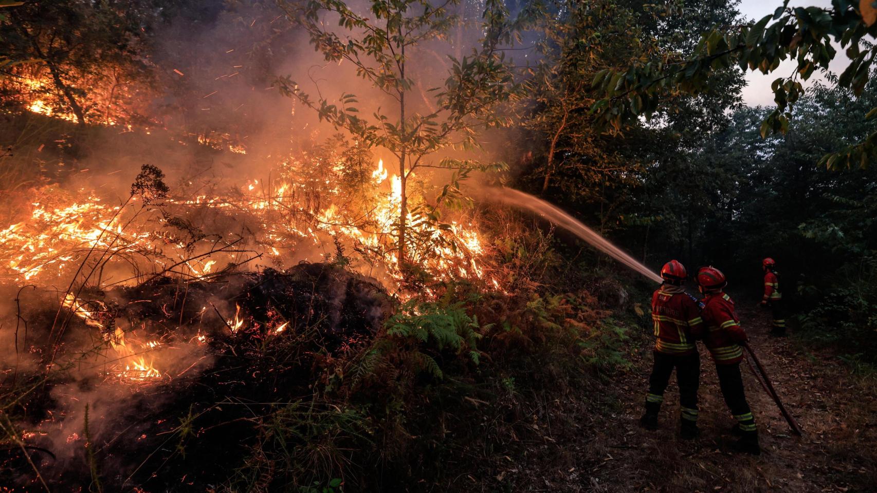 Los bomberos luchan contra un incendio en Bornes de Aguiar, Portugal.