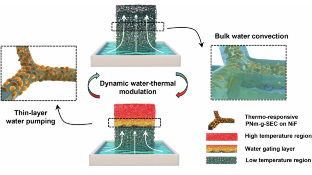 Esquema del funcionamiento del invento que genera agua potable del mar.