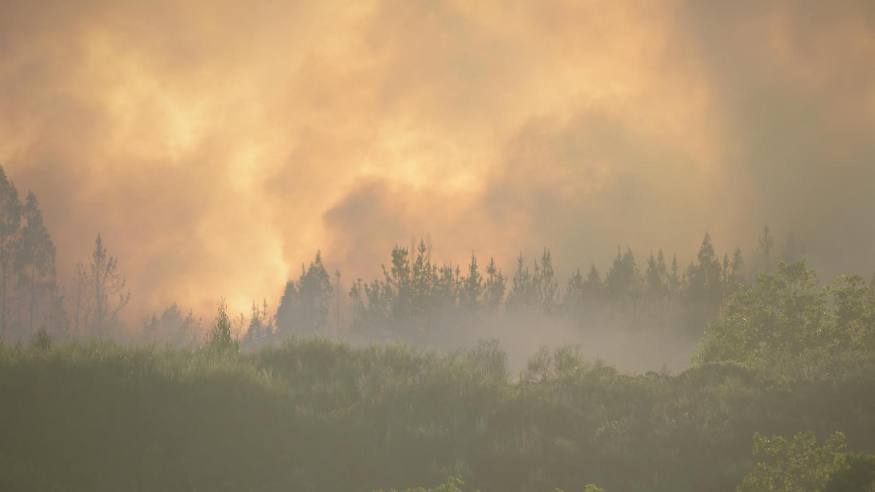 Imagen de un incendio en Galicia.