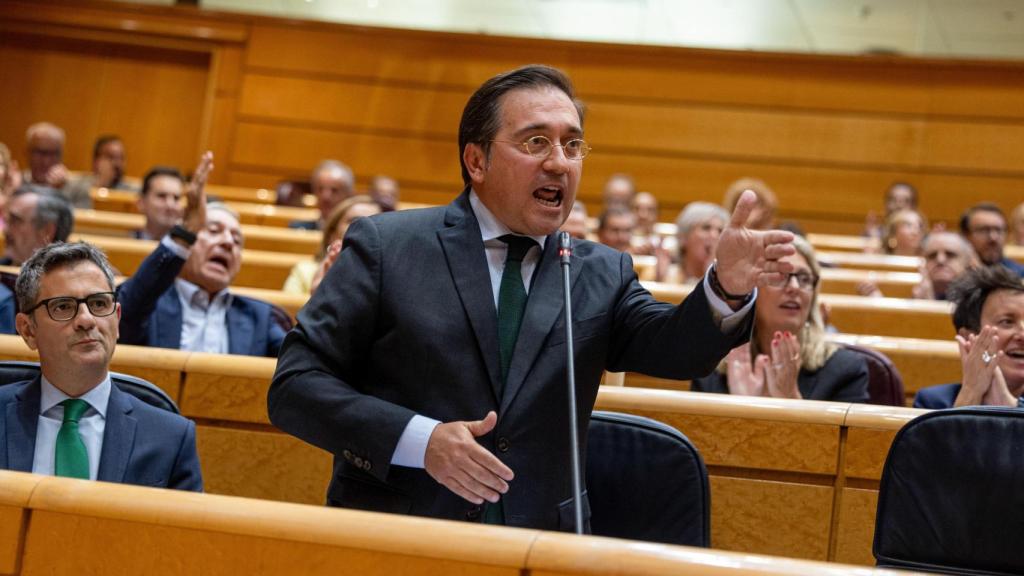 El ministro de Asuntos Exteriores, José Manuel Albares, interviene durante el Pleno del Senado este martes, en Madrid.