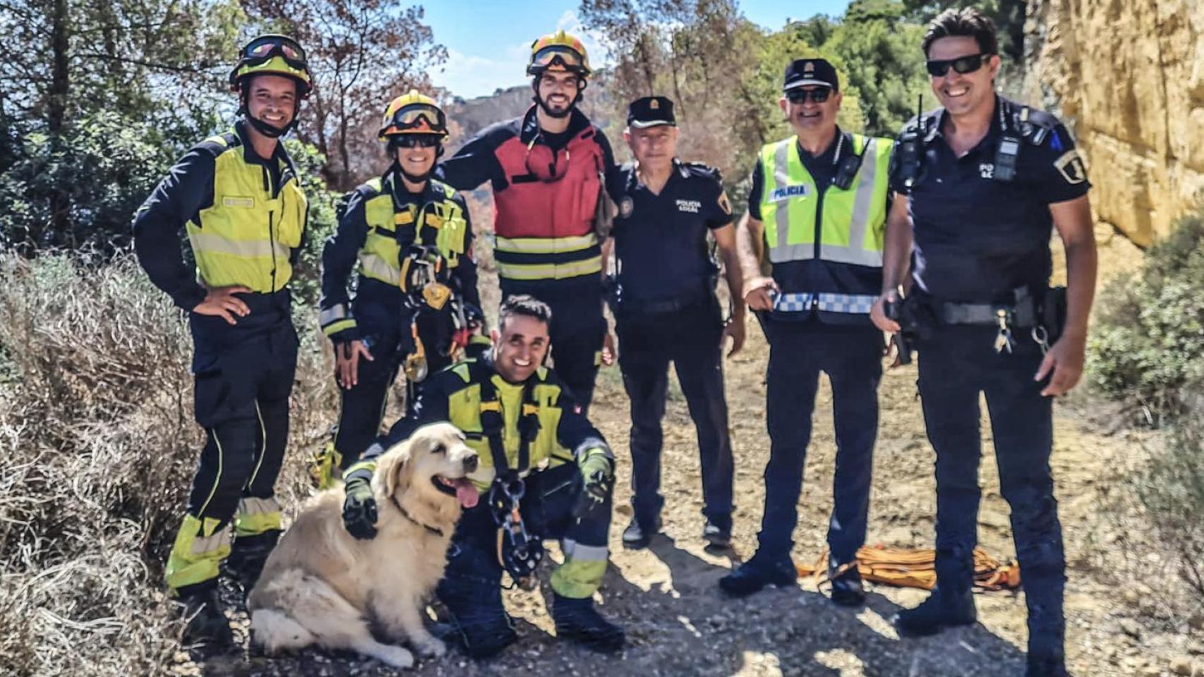 Imagen del perro labrador tras el rescate.