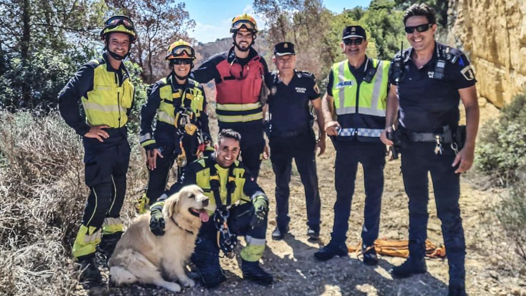 Imagen del perro labrador tras el rescate.