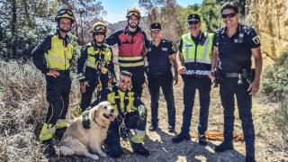 Así ha sido el emotivo rescate de un perro labrador por los Bomberos de Alicante