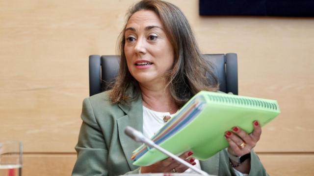 La consejera de Agricultura, Ganadería y Desarrollo Rural, María González Corral, comparece en la Comisión de Agricultura, Ganadería y Desarrollo Rural de las Cortes para informar de su programa de actuaciones.