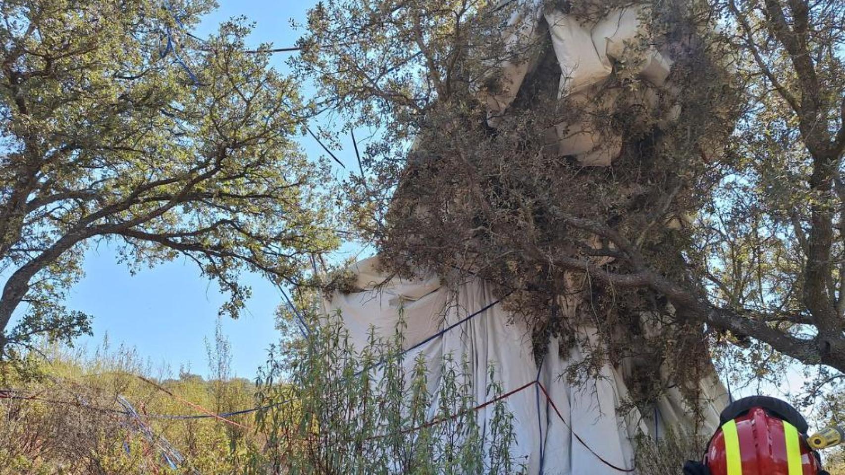 Accidente de globo en Ciudad Real. Foto: SCIS Ciudad Real.