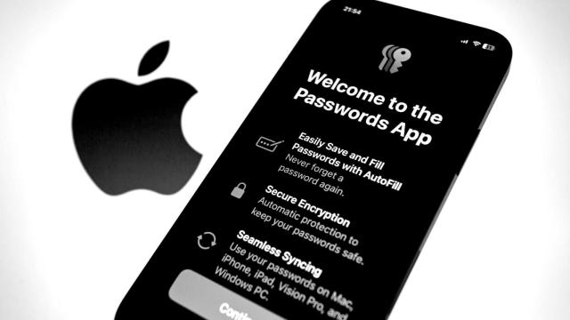 Apple's new Passwords app in iOS 18