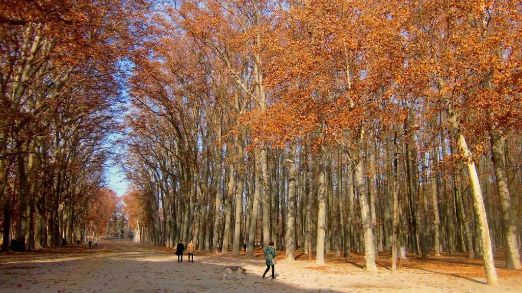 Parque de La Devesa en otoño, Girona.