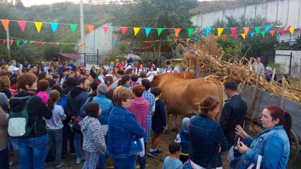 Festa da Recolleita de Matamá