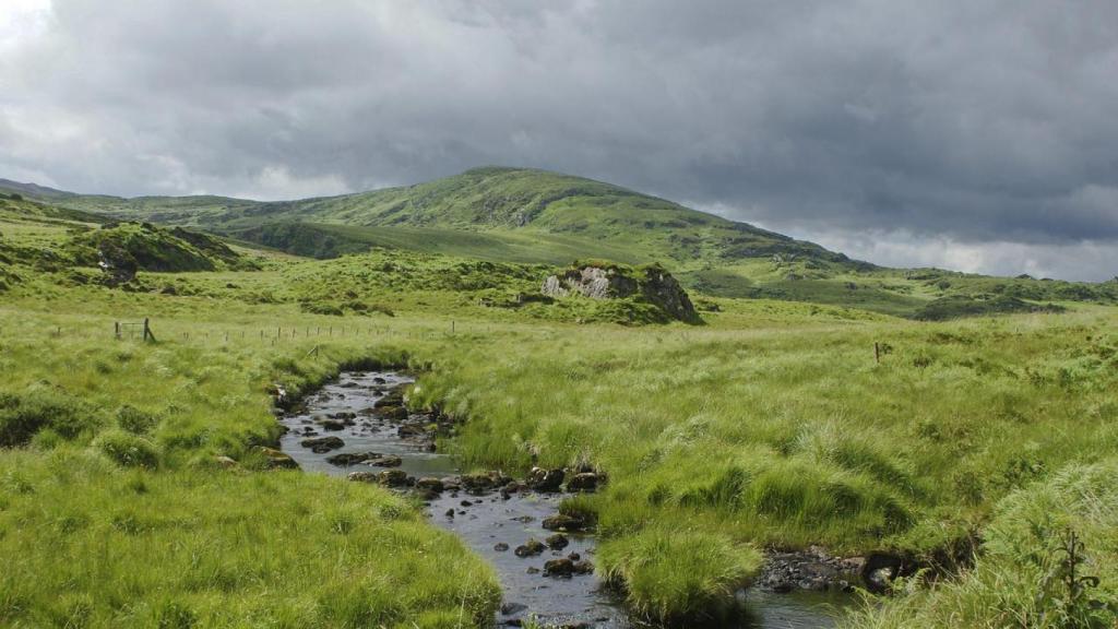 La naturaleza en Irlanda.