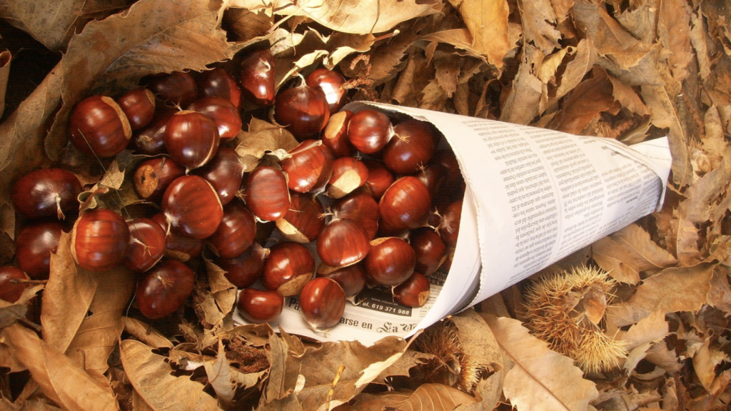 Magosto popular en las Rías Baixas