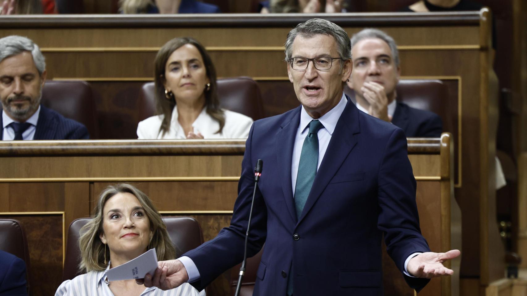 El presidente del PP, Alberto Núñez Feijóo, interviene en la sesión de control al Gobierno celebrada este miércoles en el Congreso.