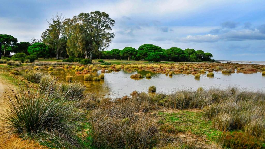 Parque Nacional de Doñana – Andalucía (España)